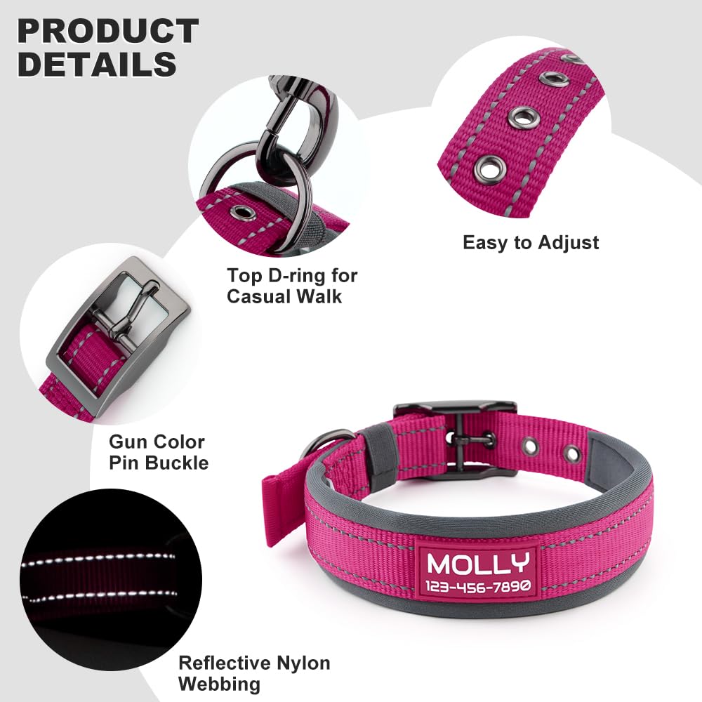 Personalized Dog Collar with Name and Number V170790