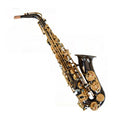 Black Nickel E Flat Alto Saxophone Set C263843