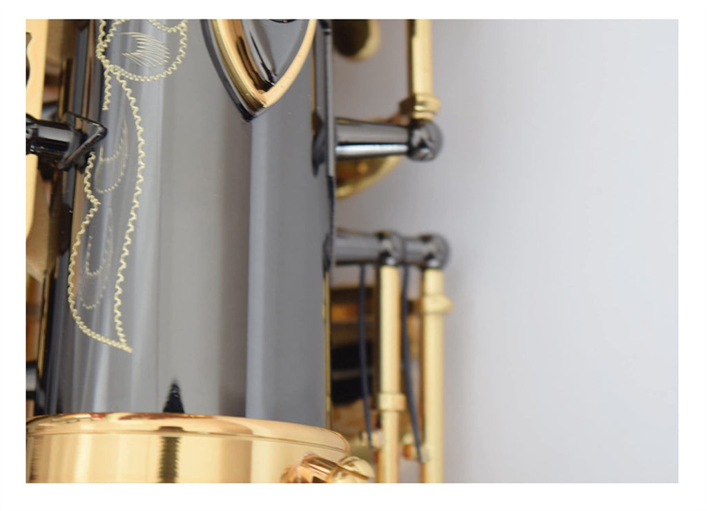 Black Nickel E Flat Alto Saxophone Set C263843