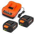 2 Pack 6.5Ah Replacement 20v Lithium Battery and Charger Kit G711