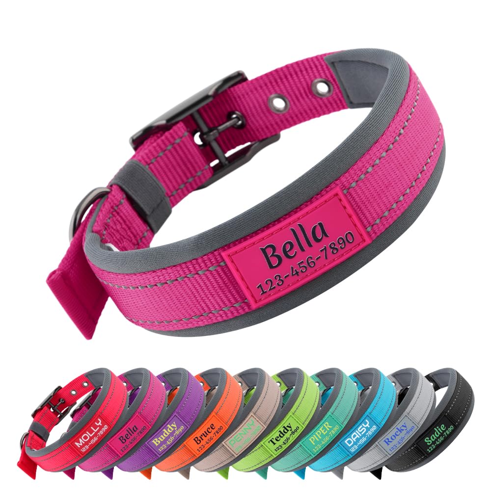 Personalized Dog Collar with Name and Number V170790