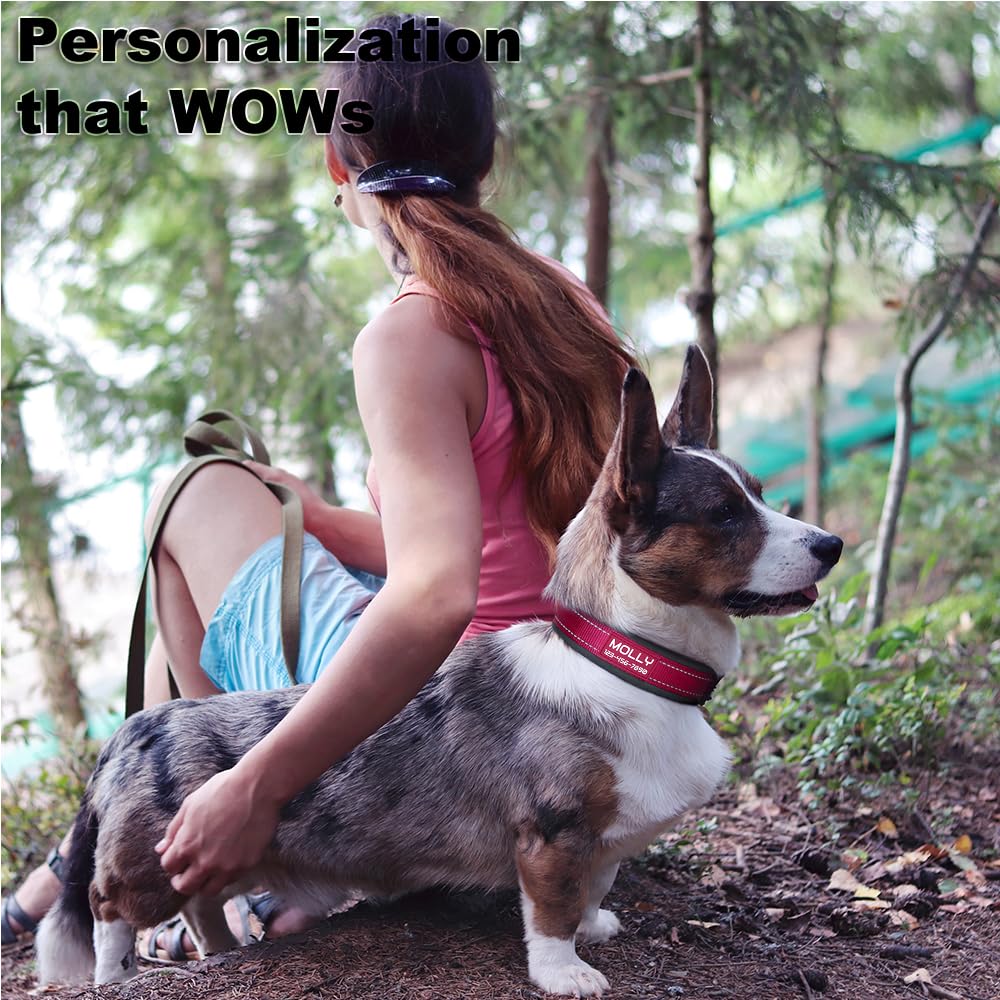 Personalized Dog Collar with Name and Number V170790