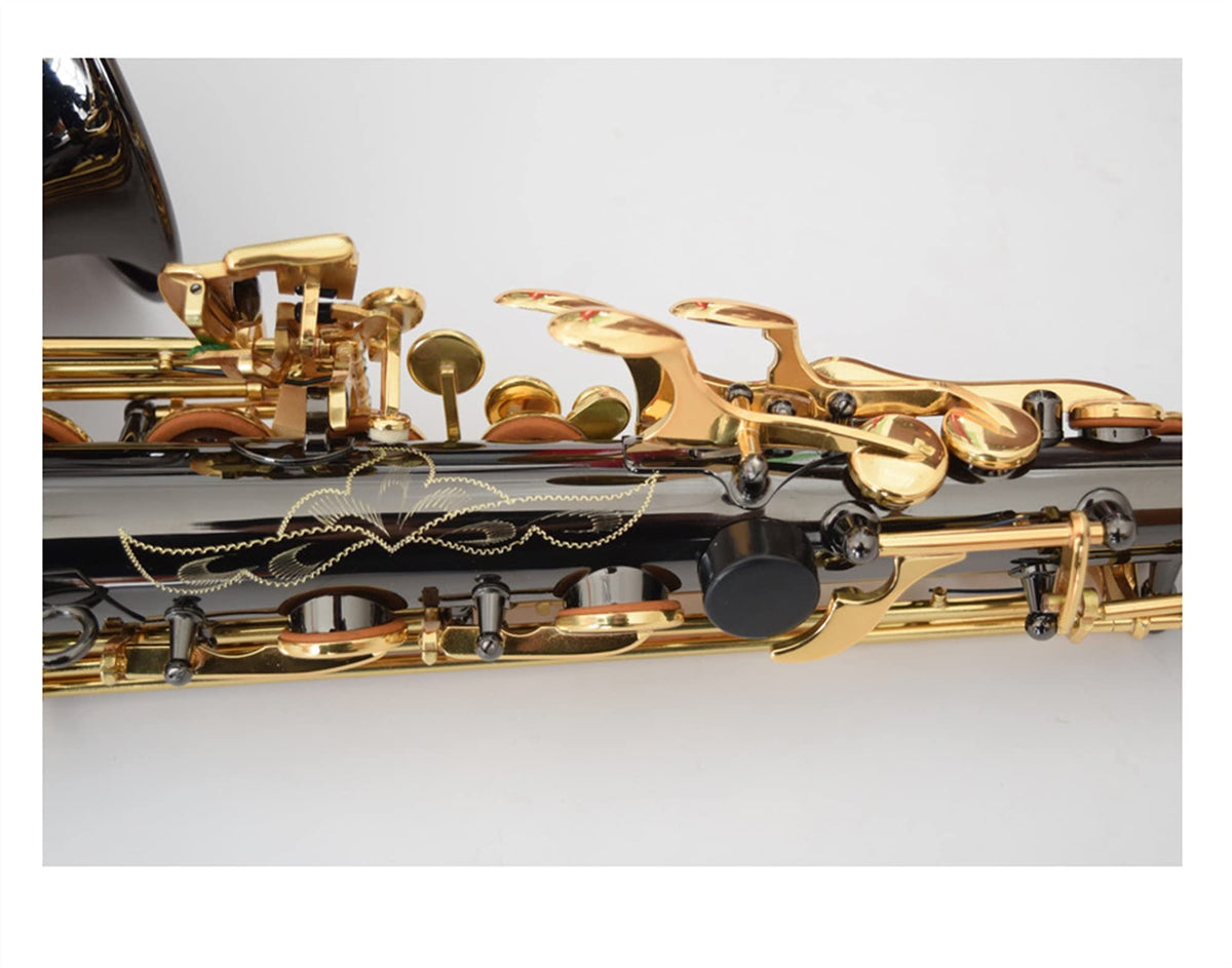 Black Nickel E Flat Alto Saxophone Set C263843