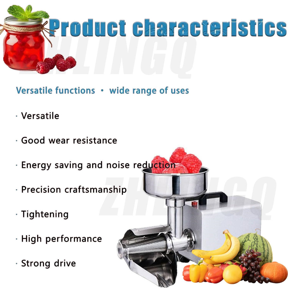 450W Stainless Steel Electric Tomato Strainer L5283