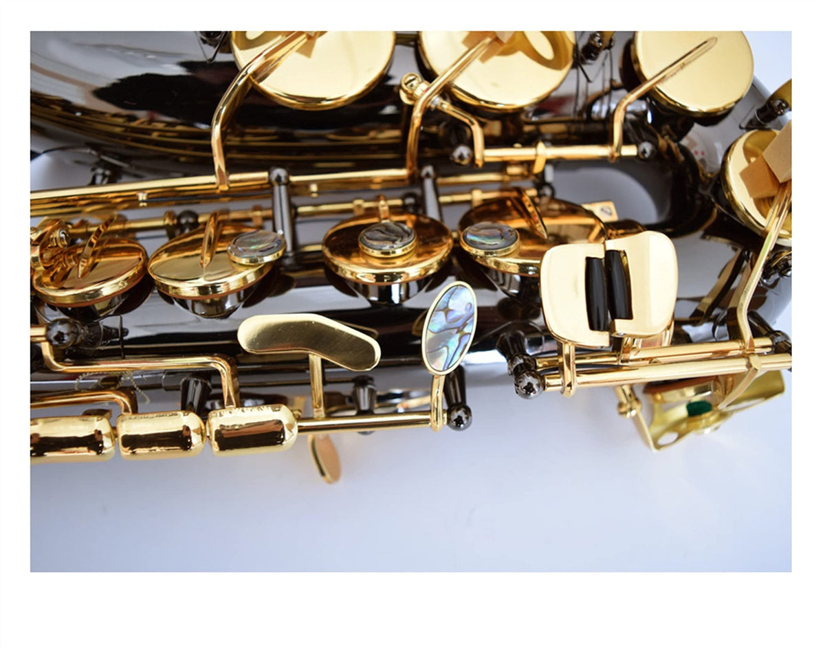 Black Nickel E Flat Alto Saxophone Set C263843