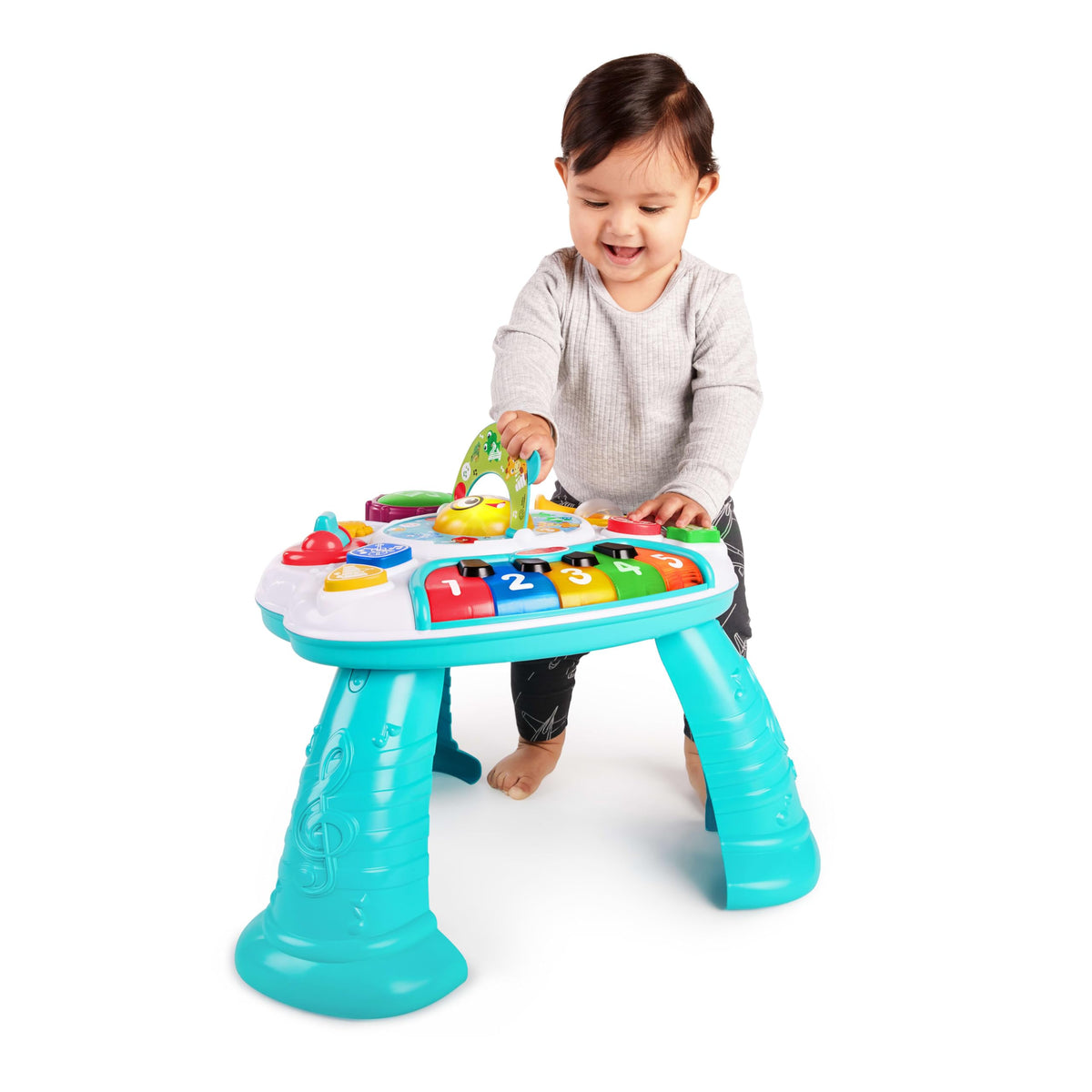 Activity Table N414382