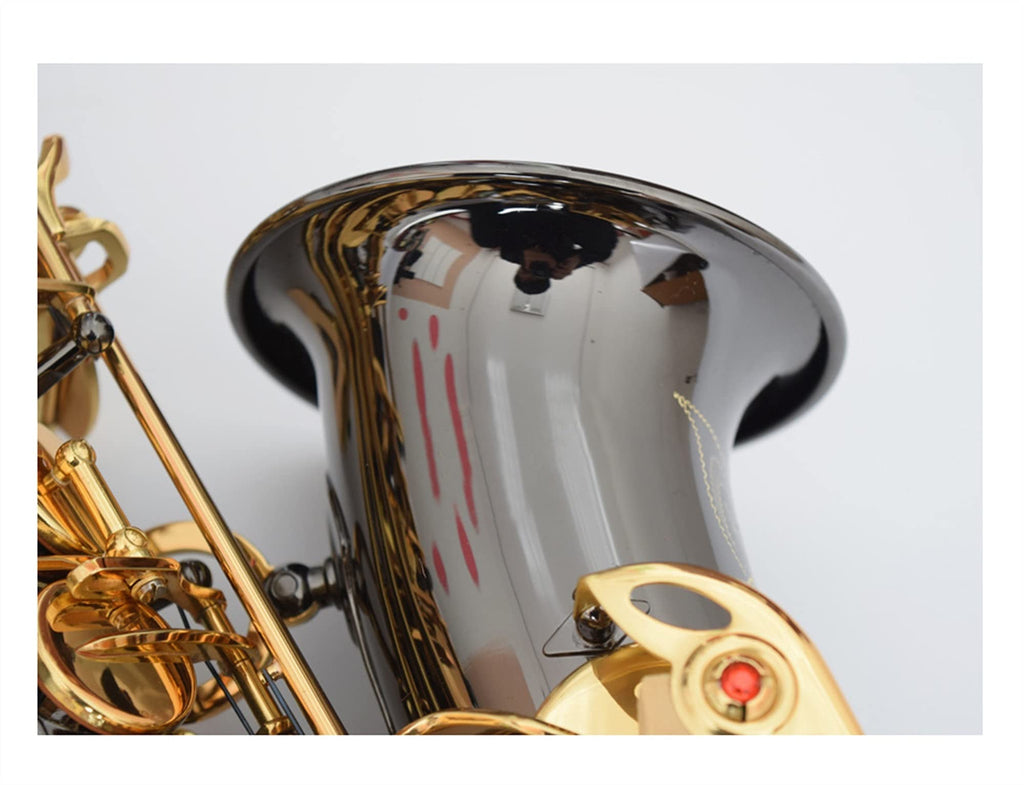 Black Nickel E Flat Alto Saxophone Set C263843