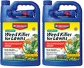 Southern Weed Killer for Lawns 1 Gal Pack of 2 V6333