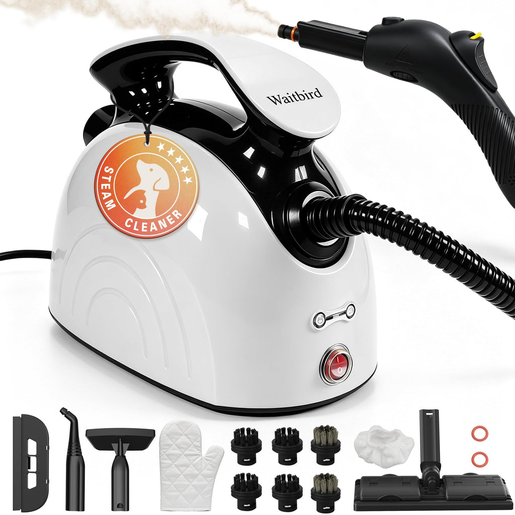 4.5 Bar 300°F Steam Cleaner F997