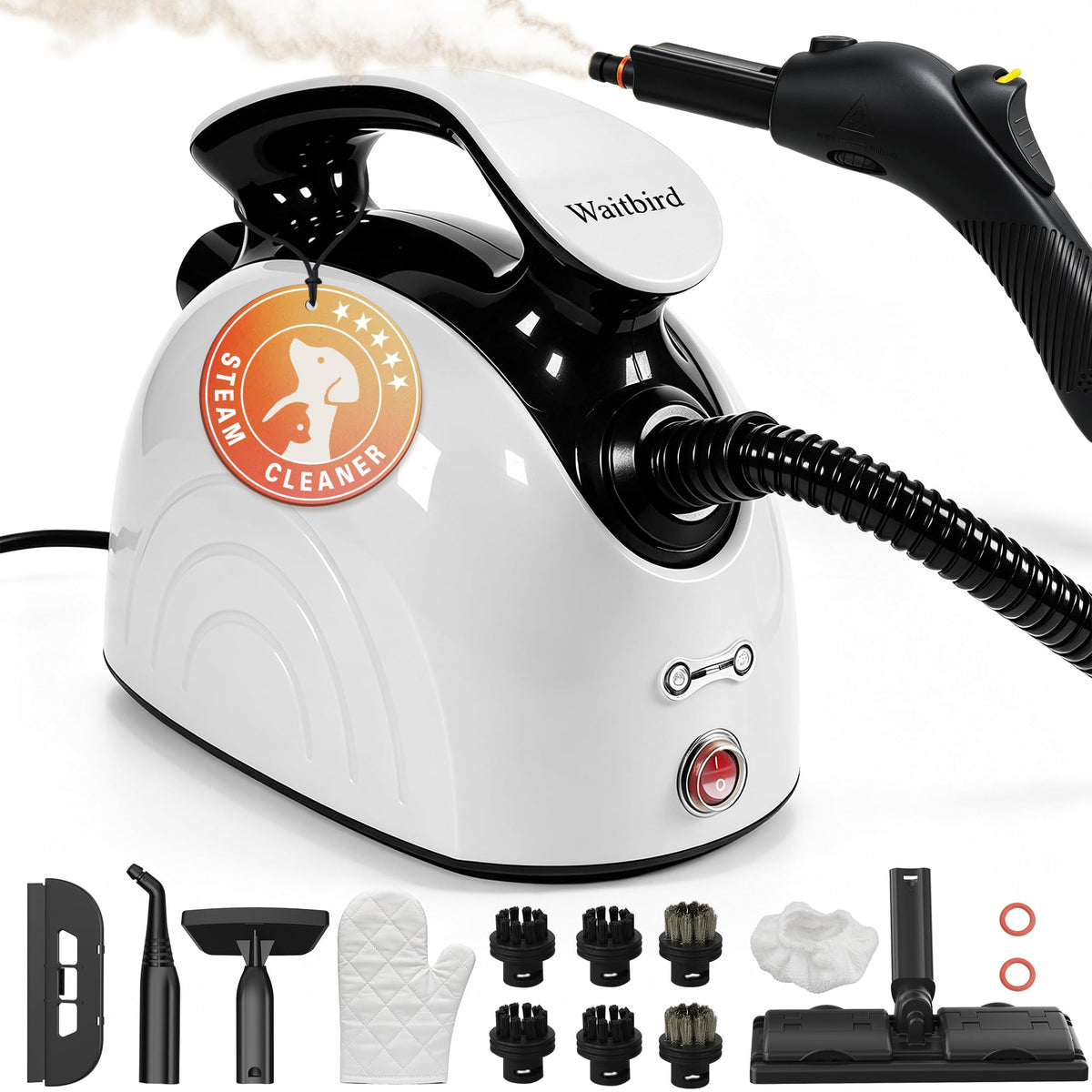4.5 Bar 300°F Steam Cleaner F997