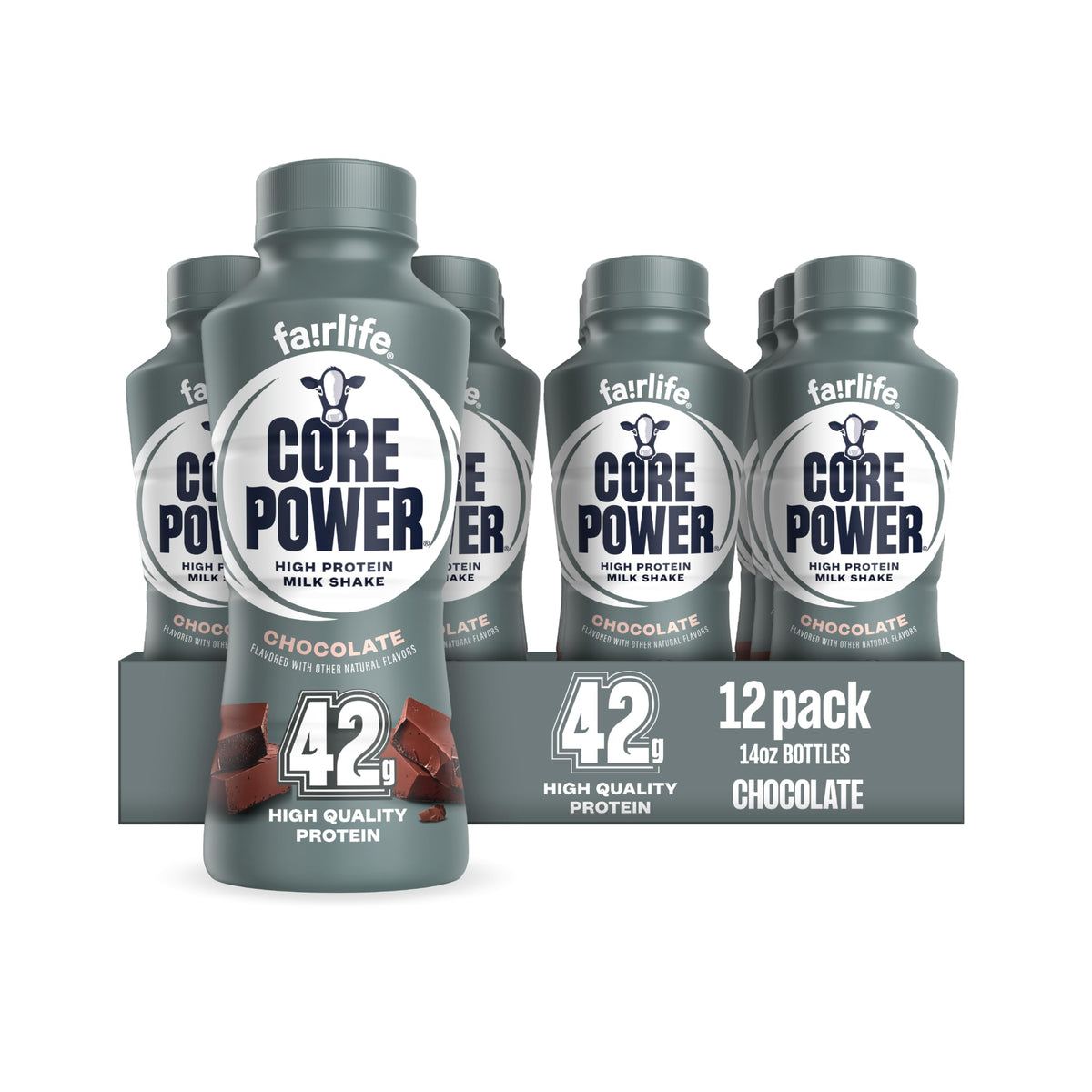 Chocolate High Protein Shake 42g 14oz 12 Pack S88610