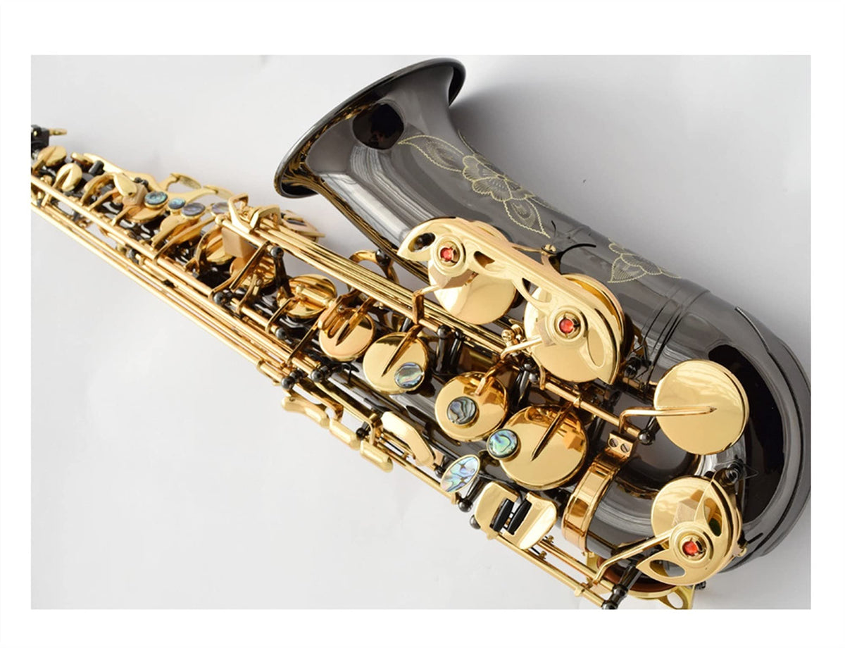 Black Nickel E Flat Alto Saxophone Set C263843