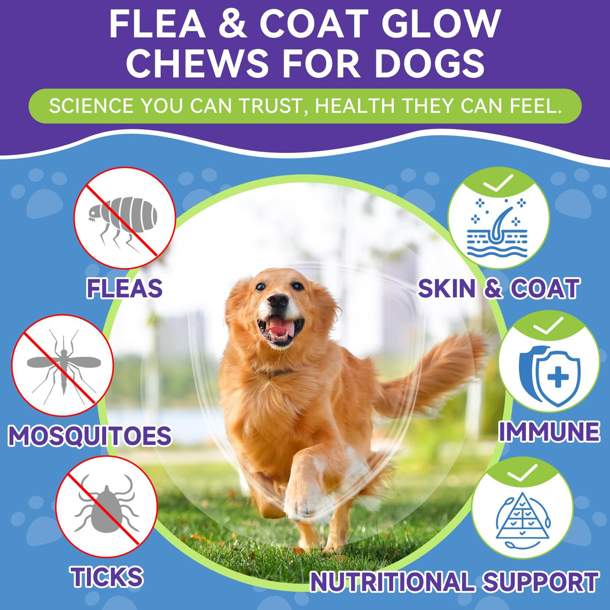 Flea and Tick Prevention for Dogs O270