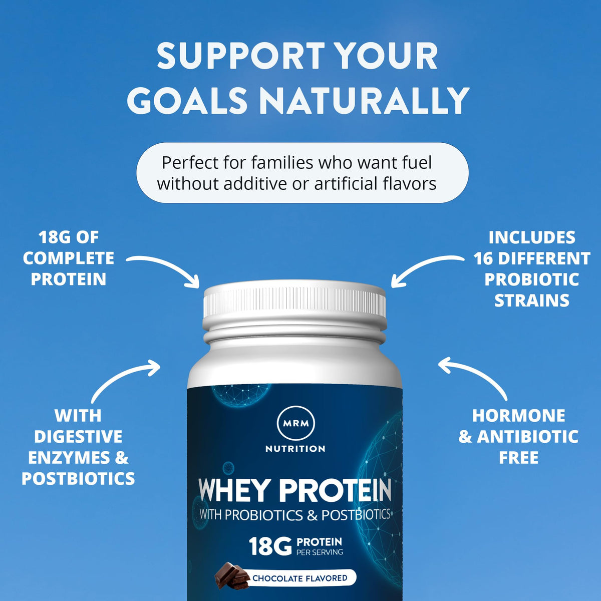 Whey Protein Chocolate 16 Servings Q8060