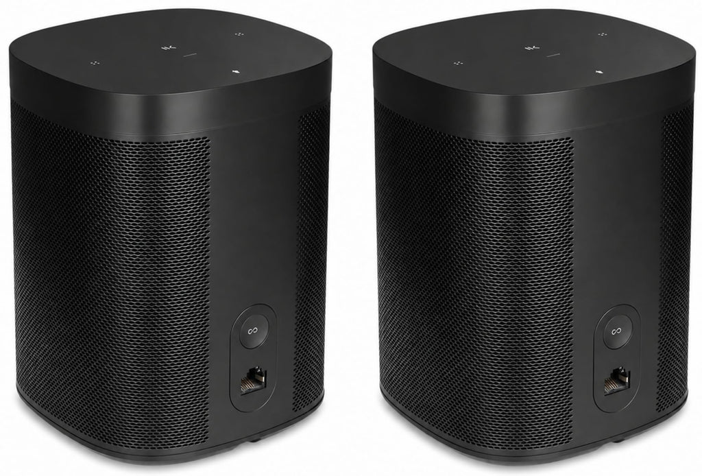 Black Voice Controlled Smart Speaker 2-Pack S51861