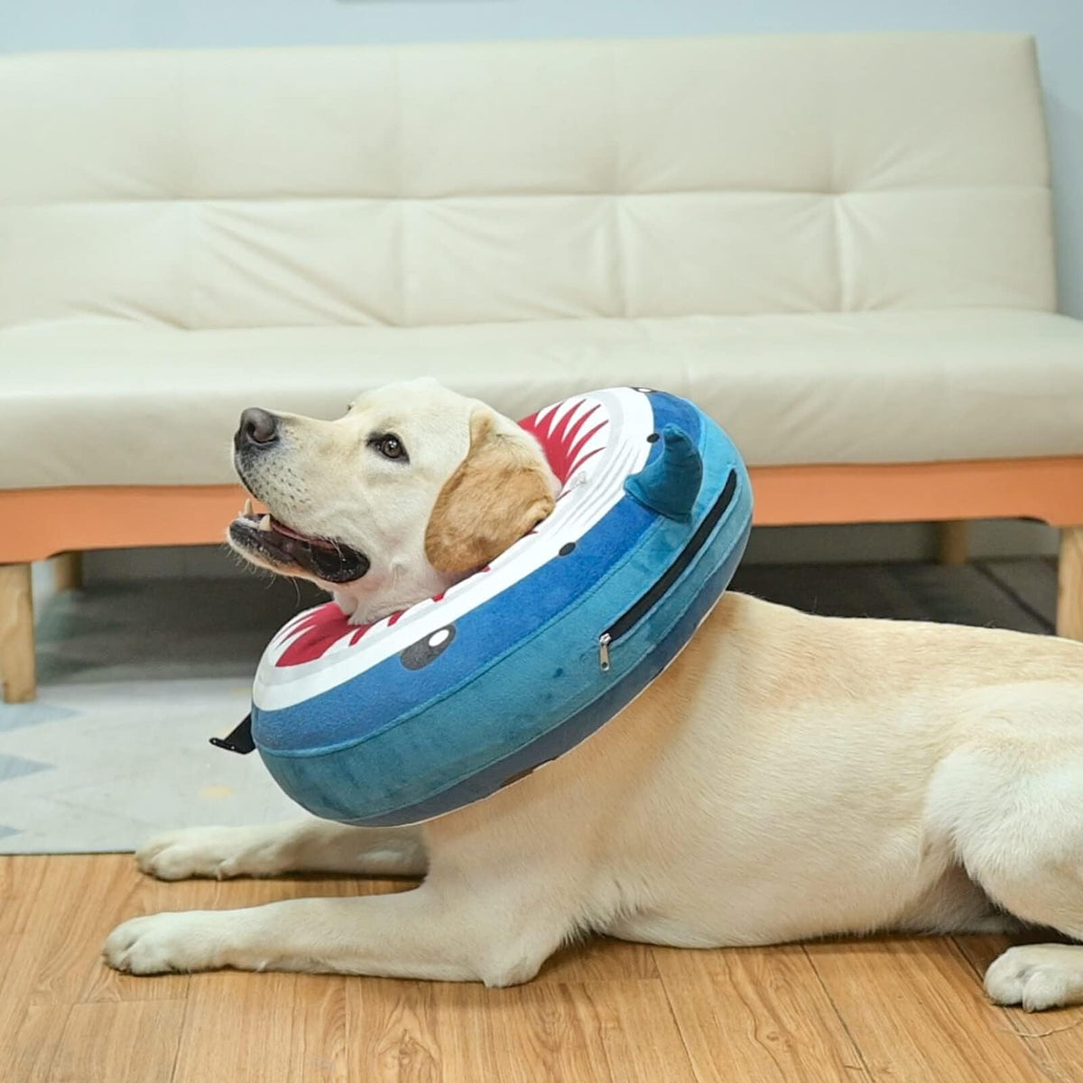 Dog Cone Collar Alternative T57479