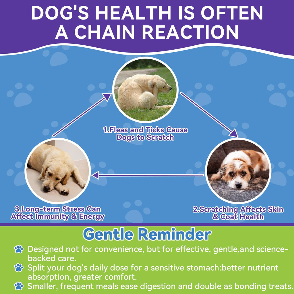 Flea and Tick Prevention for Dogs O270