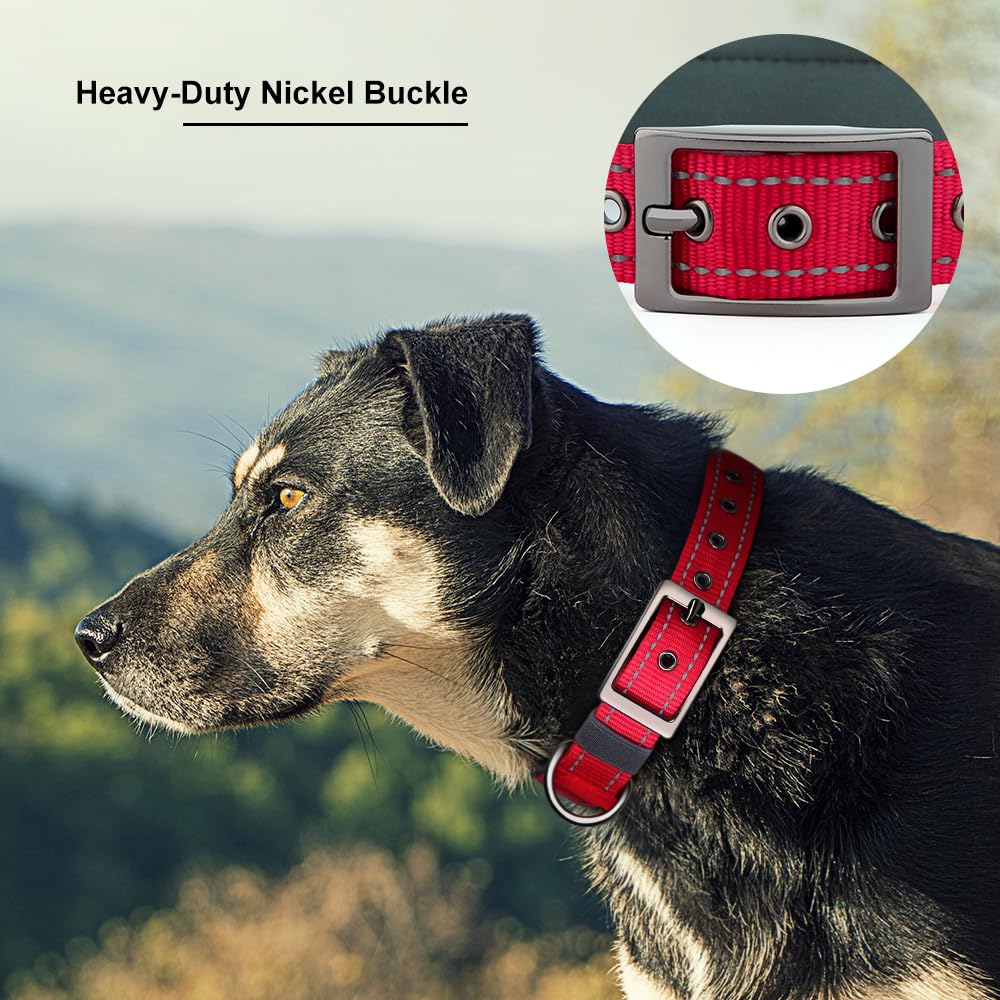 Personalized Dog Collar with Name and Number V170790