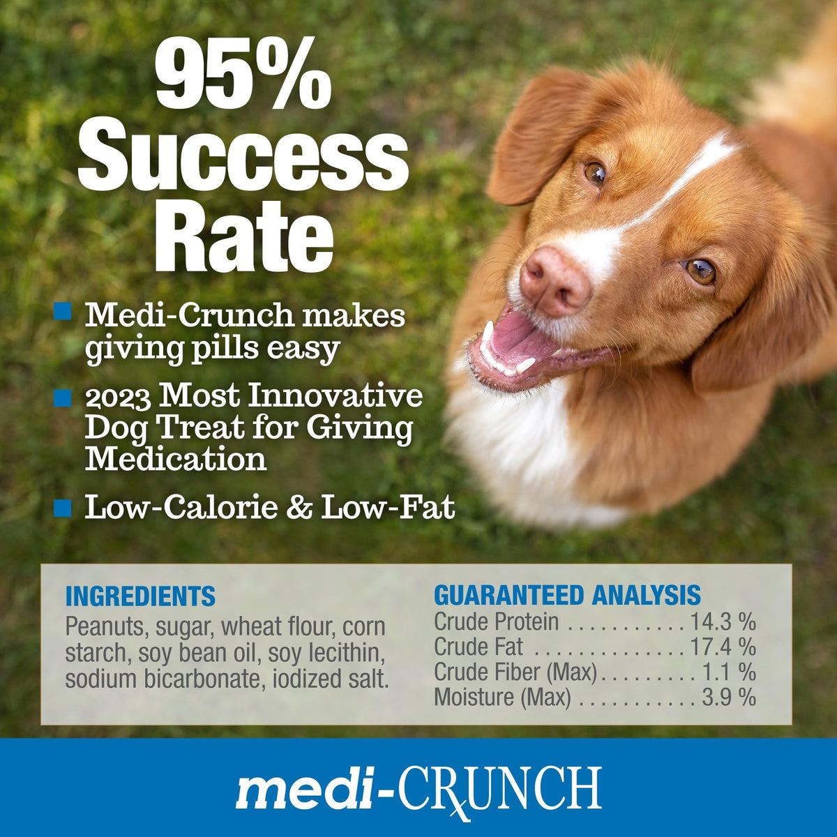 Peanut Butter Dog Pill Treats 120 Treats D5837