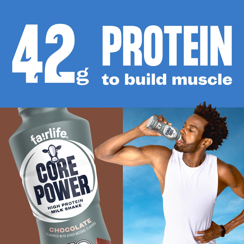 Chocolate High Protein Shake 42g 14oz 12 Pack S88610