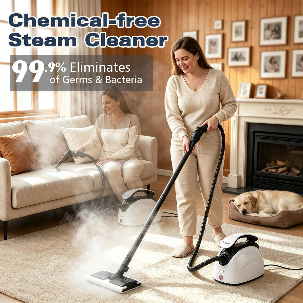 4.5 Bar 300°F Steam Cleaner F997
