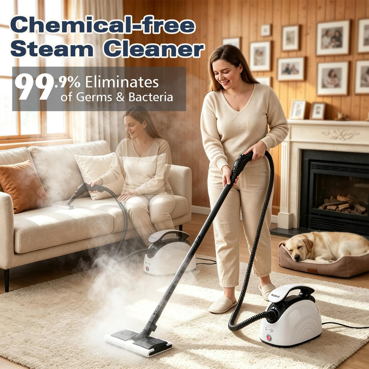 4.5 Bar 300°F Steam Cleaner F997