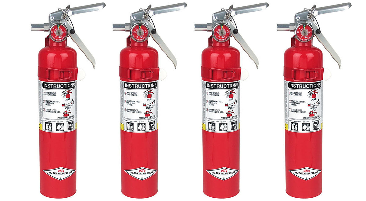 2.5lb ABC Dry Chemical Fire Extinguisher with Wall Bracket X742304