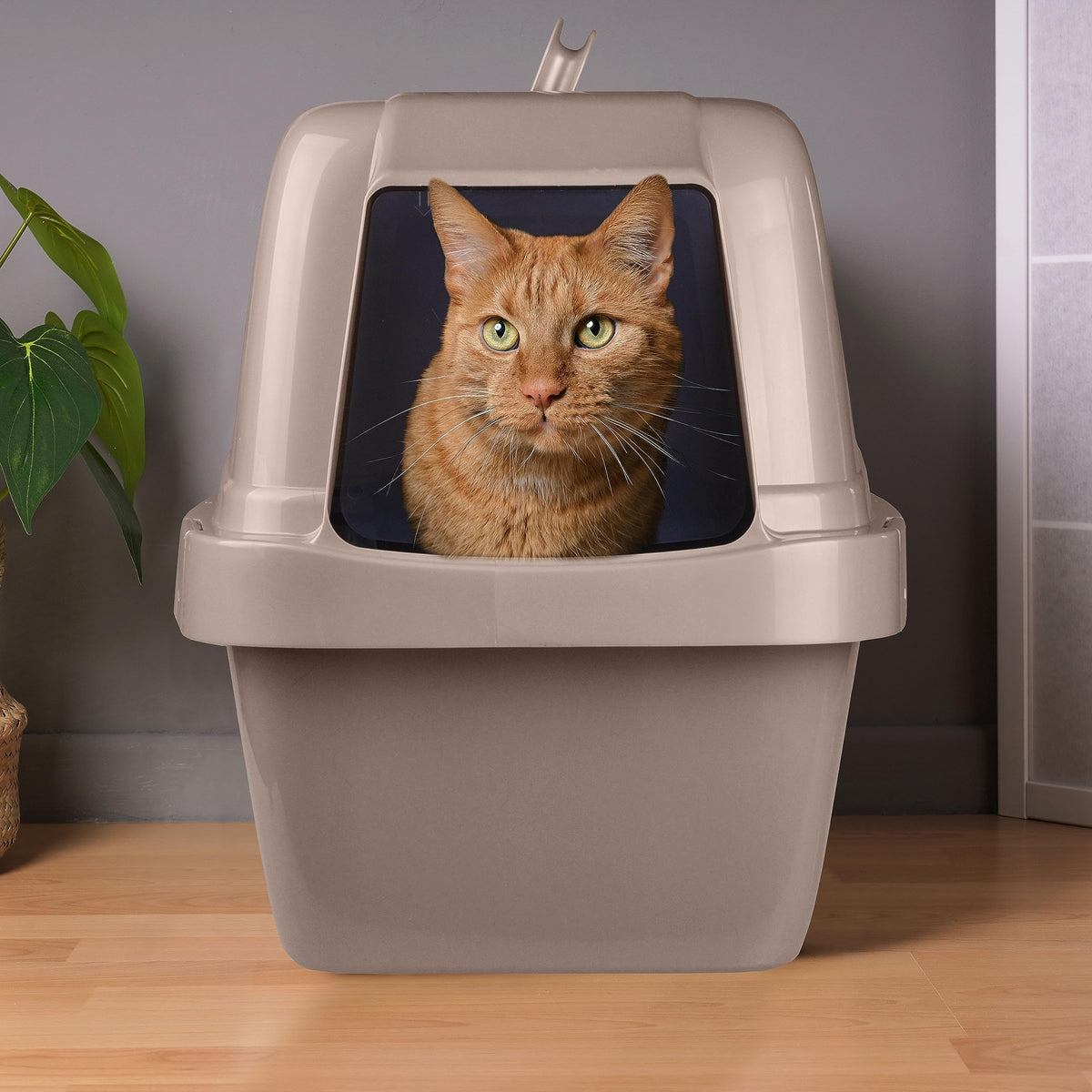 Large Enclosed Sifting Cat Pan with Odor Door, Hooded, Beige W158775