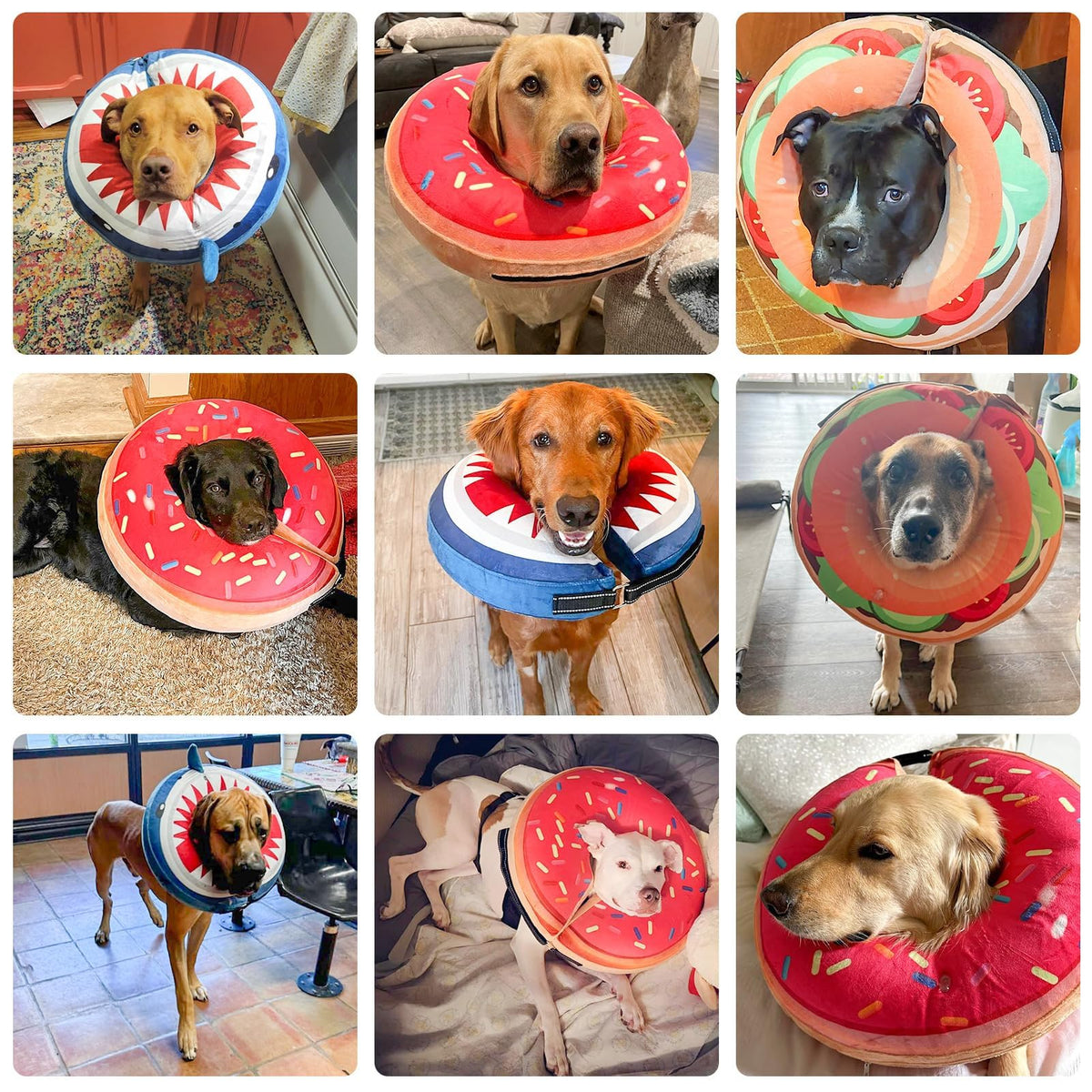 Dog Cone Collar Alternative T57479