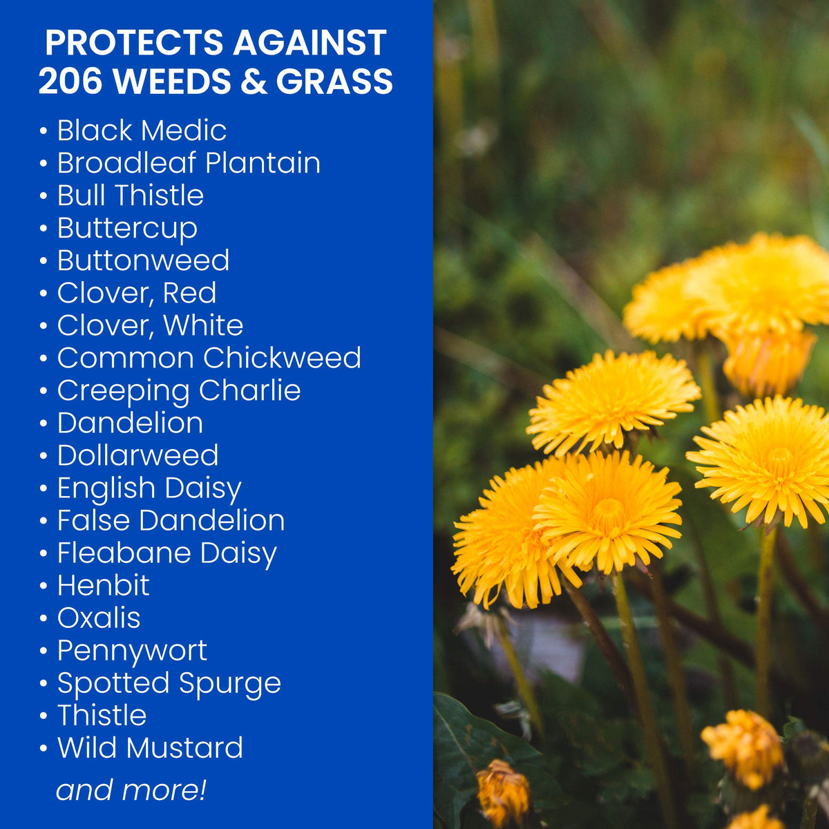 Southern Weed Killer for Lawns 1 Gal Pack of 2 V6333